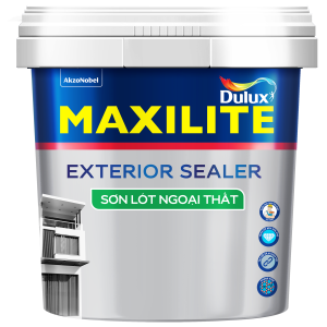SON-LOT-NGOAI-THAT-MAXILITE-48C SON LOT NGOAI THAT MAXILITE 48C